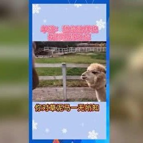 娱乐吃瓜2022,盘点年度热点事件与明星幕后故事