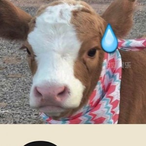 娱乐吃瓜酱是谁我不说,娱乐吃瓜酱的真实身份大猜想